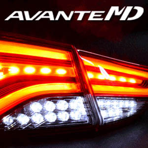 [ Elantra 2014(The New Avante) auto parts ] Elantra 2014(The New Avante) LED Rear Turn Signal & Backup Lighits Modules Kit